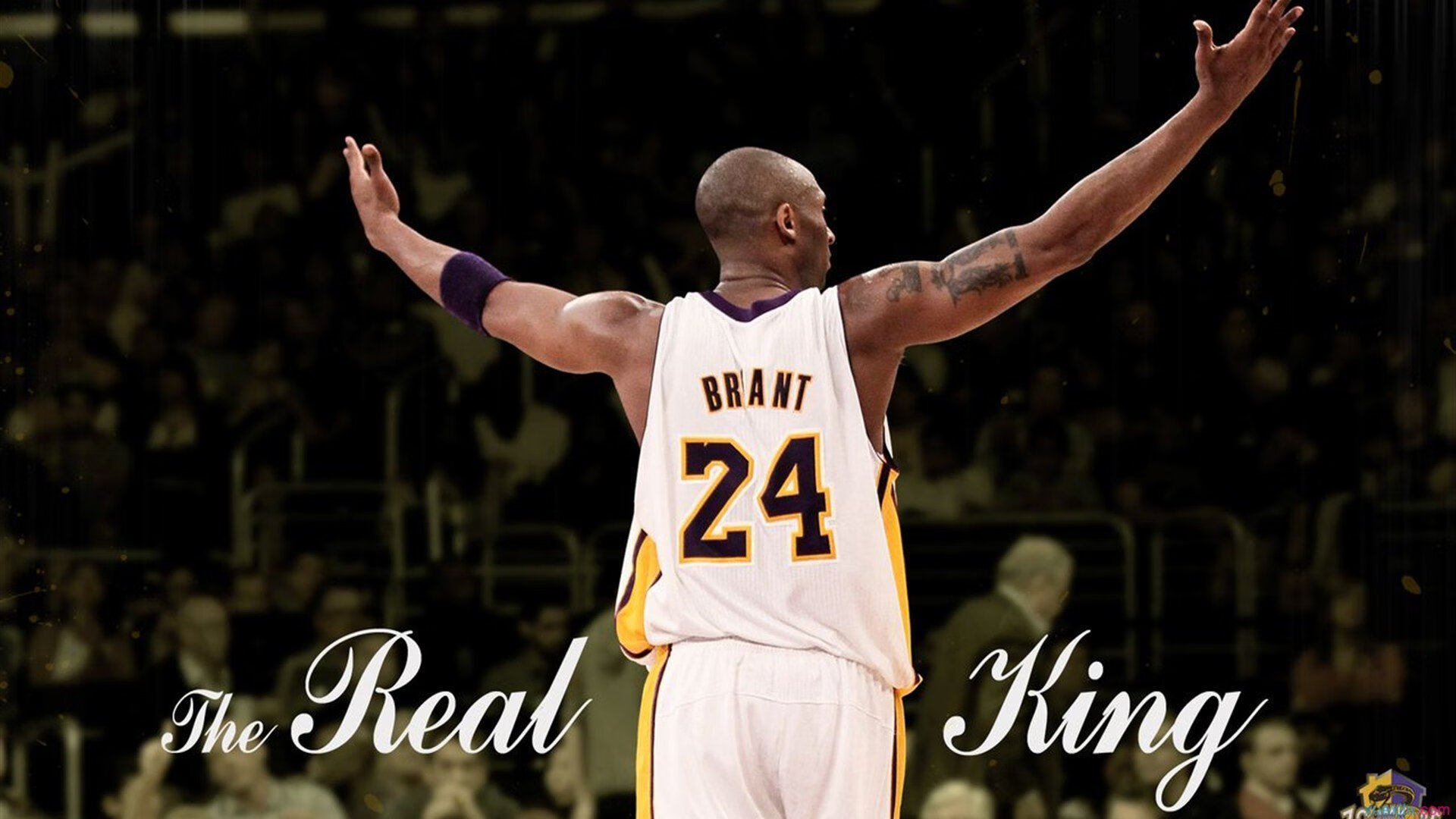 中国篮球用行动诠释信念,中国篮球用行动诠释信念的例子